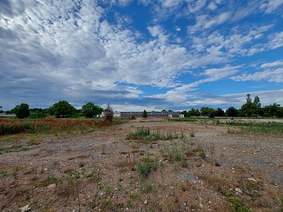 Acht einstige Ideen für eine geile Landesgartesnschau 2026 in Schweinfurt: Sind das nicht auch für den Bürgerpark Anregungen?