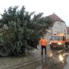 Für Weihnachten 2025 und für danach: Grafenrheinfeld sucht den Superbaum