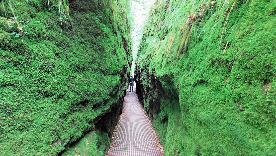 Fahr mal hin und lauf mal rum: Die Drachenschlucht bei Eisenach – MIT VIELEN FOTOS!