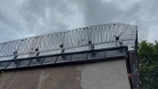 Nach dem Tod einer 76-Jährigen wurde Haftbefehl gegen ihren Lebenspartner erlassen