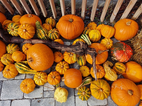 Halloween-Streich geht zu weit: Dumme Jugendliche werfen in Nüdlingen mit Eiern