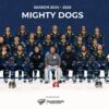 Wieder eine völlig unnötige Niederlage: Die Mighty Dogs stehen am Sonntag mit dem Rücken zur Wand