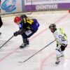 Fulminante letzte sechs Minuten und Tomas Cermak retten die Mighty Dogs gegen Buchloe