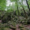 Fahr mal hin und geh mal wandern: Der Teufelsstein und die Steinwand mit Cafe Gersfeld und Enzianhütte in der hessischen Rhön – VIELE FOTOS!