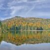 Durch einen Zauberwald zum Rachelsee: Stille Waldmomente erleben im Nationalpark Bayerischer Wald