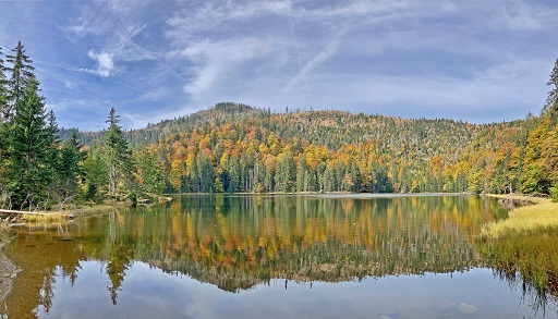 Durch einen Zauberwald zum Rachelsee: Stille Waldmomente erleben im Nationalpark Bayerischer Wald