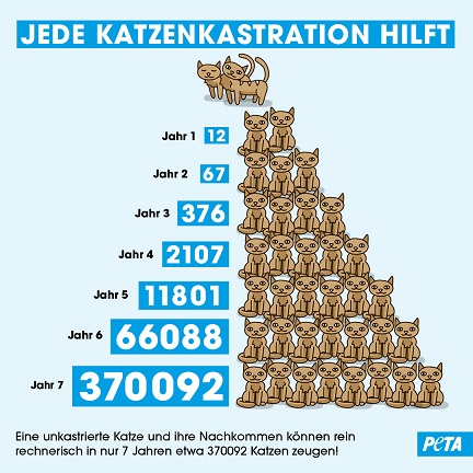 Stadt Würzburg beschließt Katzenschutzverordnung: PETA lobt tierfreundliche Maßnahme und fordert landesweite Regelung in Bayern
