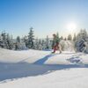 Deutscher Winterwandertag im Januar im Herzen des Bayerischen Waldes