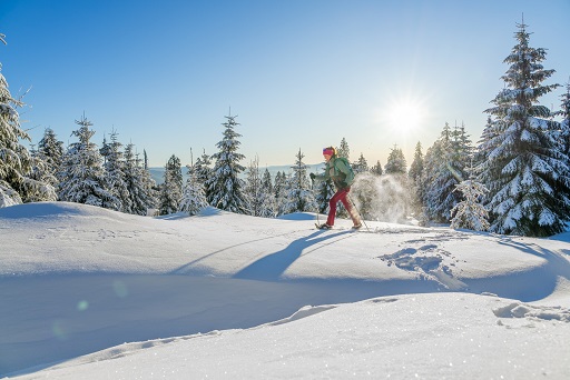 Deutscher Winterwandertag im Januar im Herzen des Bayerischen Waldes