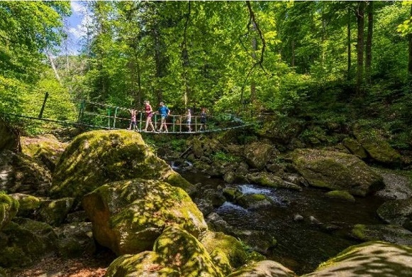 Familienurlaub im Luftkurort Freyung: Vom Bienenerlebnisweg über die Wildbachklamm zum Glasblasen