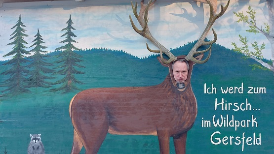 Immer mehr Fälle von Maul- und Klauenseuche in Ungarn und der Slowakei: Vorsicht mit Lebensmitteln im Urlaubsgepäck!