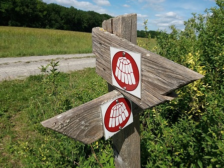 Lauf´ mal ´rum: Die Kohlenbrennertour bei Wülfershausen im Landkreis Schweinfurt