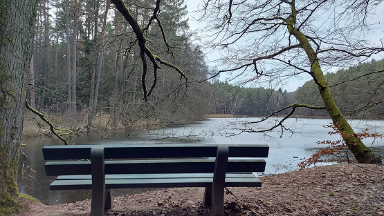 Fahr mal hin und lauf mal rum: Der Mönchsweiher im Wald nördlich von Oberhaid