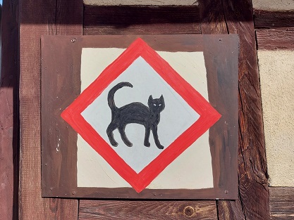 Kradfahrer ohne Schutzhelm verletzt sich bei einem Sturz schwer und tötet dabei eine Katze