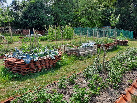 Der Kreisverband für Gartenbau und Landespflege Haßberge sucht interessierte Gartenbesitzer, die sich weiterbilden wollen