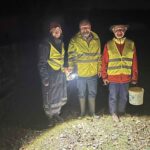 Hilfe für Frösche, Kröten und Molche auf Wanderung: Amphibienretter gesucht!