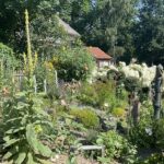 Klimaschutz: Sechs Gärten in Stadt und Landkreis Würzburg erstmals als Naturgärten zertifiziert