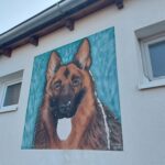 Schäferhund beißt Spaziergängerin in Hand: Der Hundehalter flüchtete mit einem schwarzen SUV