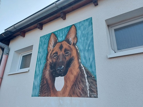 Schäferhund beißt Spaziergängerin in Hand: Der Hundehalter flüchtete mit einem schwarzen SUV