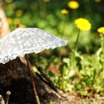 Sperrmüll im Wald: Ein Sofa, zwei Campingstühle, ein Sonnenschirm und eine Matratze – da hat sich jemand eingerichtet!