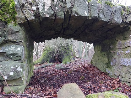 Lauf mal hin: Die versteckte Burgruine Wildberg im Wald bei Sulzfeld – MIT VIELEN FOTOS!