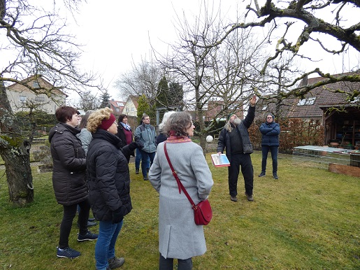 Schnittkurs des Vereins für Gartenbau und Landespflege Gochsheim an Obstbäumen und Sträuchern
