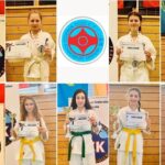 German Open & Dragon Cup in Kyokushin Vollkontakt Karate in Neckarsulm 2025
