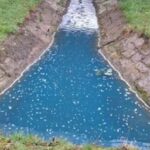 Gewässerverunreinigung: Wenn der Bach plötzlich blau ist und nach Kokosnuss riecht…