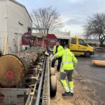 Vom Eichensetzling zum Brückengeländer: Die Gemeinde Grafenrheinfeld nutzt ihr eigenes Holz