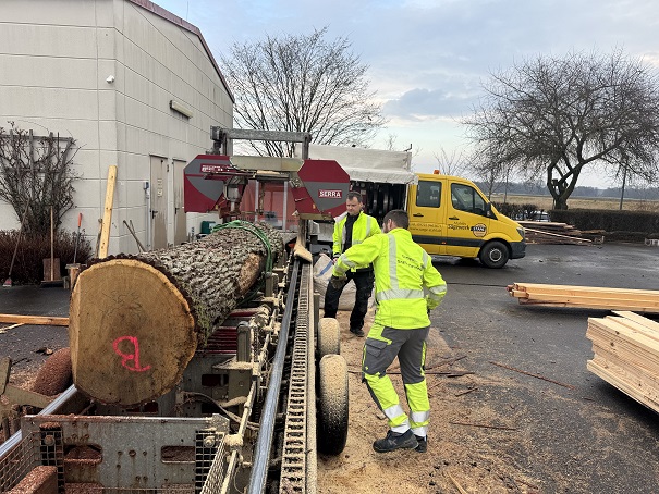 Vom Eichensetzling zum Brückengeländer: Die Gemeinde Grafenrheinfeld nutzt ihr eigenes Holz