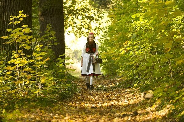 Märchenhafte Landschaften: Das Rotkäppchenland, der Geo-Naturpark Frau-Holle-Land und der Naturpark Reinhardwald