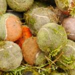 Aktion „Sauberes Lengfeld“: Bürgerverein und Umweltstation laden zum Abfallsammeln ein