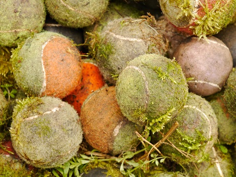 Aktion „Sauberes Lengfeld“: Bürgerverein und Umweltstation laden zum Abfallsammeln ein