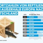 2024 über 174.000 Reptilien nach Deutschland importiert – PETA fordert: „Ausverkauf der Natur muss von neuer Bundesregierung endlich gestoppt werden“
