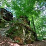 Fahr mal hin und lauf mal rum: Der Sagenpfad mit dem Walfischfelsen und dem Teufelstein – VIELE FOTOS!