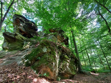 Fahr mal hin und lauf mal rum: Der Sagenpfad mit dem Walfischfelsen und dem Teufelstein – VIELE FOTOS!