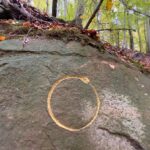 Vom Suchen und Finden: Neun Kilometer auf den Spuren von Herman de Vries bei Hundelshausen