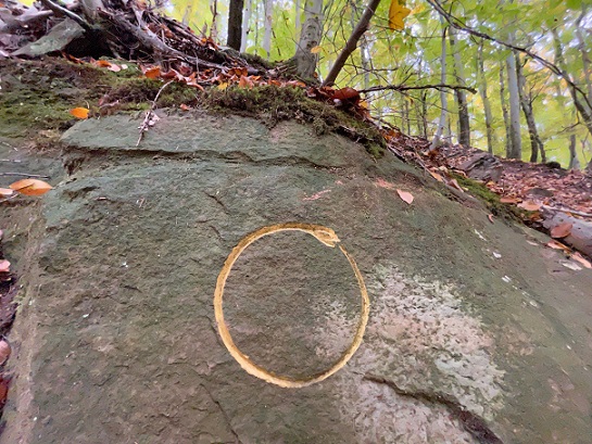 Vom Suchen und Finden: Neun Kilometer auf den Spuren von Herman de Vries bei Hundelshausen