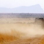 Große Staubwolke irritierte die Polizei: 33-Jähriger rast massiv alkoholisiert über einen Flurweg