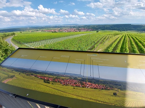 Fahr´ mal hin und lauf mal ´rum: Die Weininsel zwischen Nordheim und Sommerach – MIT VIELEN FOTOS!