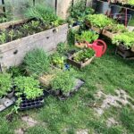 Zeit für eigenes Gemüse: Seminarreihe „Nachhaltig Leben“ in Kleinmünster gibt Einblicke in die Permakultur