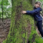 Zum Tag des Baumes am 25. April: Wälder bewahren, der Steigerwald braucht besonderen Schutz