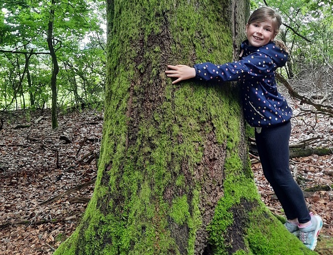 Zum Tag des Baumes am 25. April: Wälder bewahren, der Steigerwald braucht besonderen Schutz