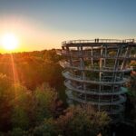 Festakt und großes Familienfest bei freiem Eintritt: Baumwipfelpfad Steigerwald feiert 10-jähriges Jubiläum mit Tag der Offenen Tür