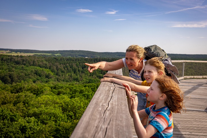 Jetzt bewerben! Freiwilliges Ökologisches Jahr am Baumwipfelpfad Steigerwald startet am 01. September