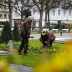 Bad Kissinger Gärten und Parks verwandeln sich wieder in ein blühendes Paradies