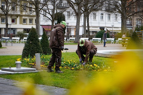 Bad Kissinger Gärten und Parks verwandeln sich wieder in ein blühendes Paradies