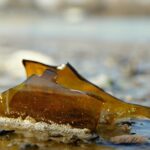 Streit in der Würzburger Innenstadt eskaliert: Drei Personen werden durch eine Glasflasche verletzt