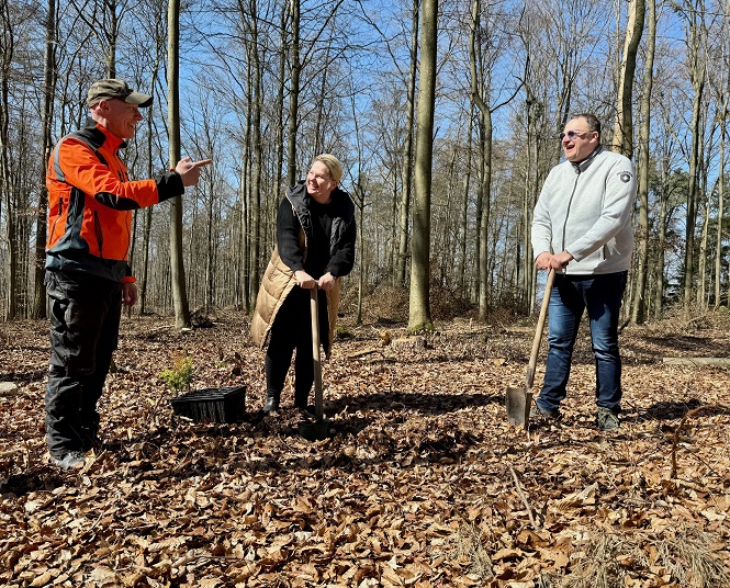 Ziel ist ein klimastabiler Mischwald, der auch in 100 Jahren noch Bestand hat
