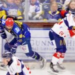 Das blöde zweite Drittel: Nur ein Tor fehlt den Mighty Dogs in Pfaffenhofen zur Tabellenführung vor dem Schlager gegen Neu-Ulm